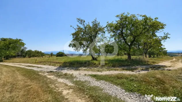 PANORAMA POIANA MĂRULUI | Teren cu potențial de dezvoltare