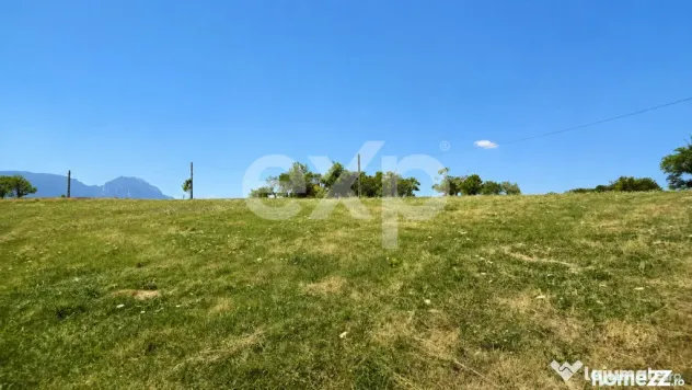 PANORAMA POIANA MĂRULUI | Teren cu potențial de dezvoltare