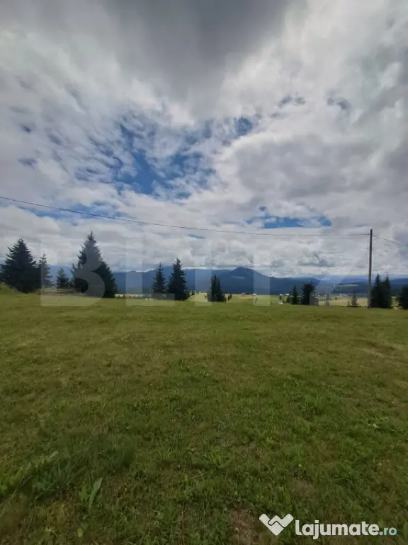Teren de vanzare Piatra Fantanele - Piatra Fantanele (Bistrita-Nasaud)
