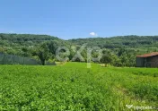 Oportunitate Unică în Călinești, Argeș – Teren Intrav 