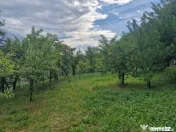 Teren intravilan 1400 mp - Albota! 