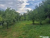 Teren intravilan 1400 mp - Albota! 