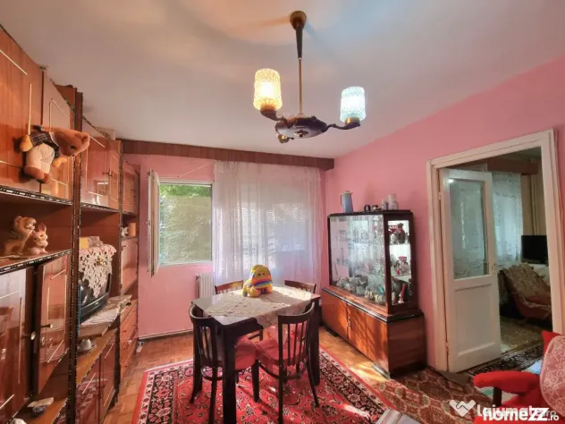 Ultracentral- Apartament 2 camere, etaj 1, liber, cu parc l?