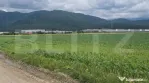 Teren extravilan posibilitate de a trece in intravilan zona