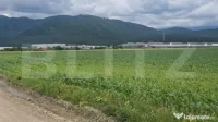 Teren extravilan posibilitate de a trece in intravilan zona 
