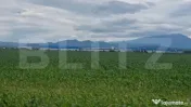 Teren extravilan posibilitate de a trece in intravilan zona 