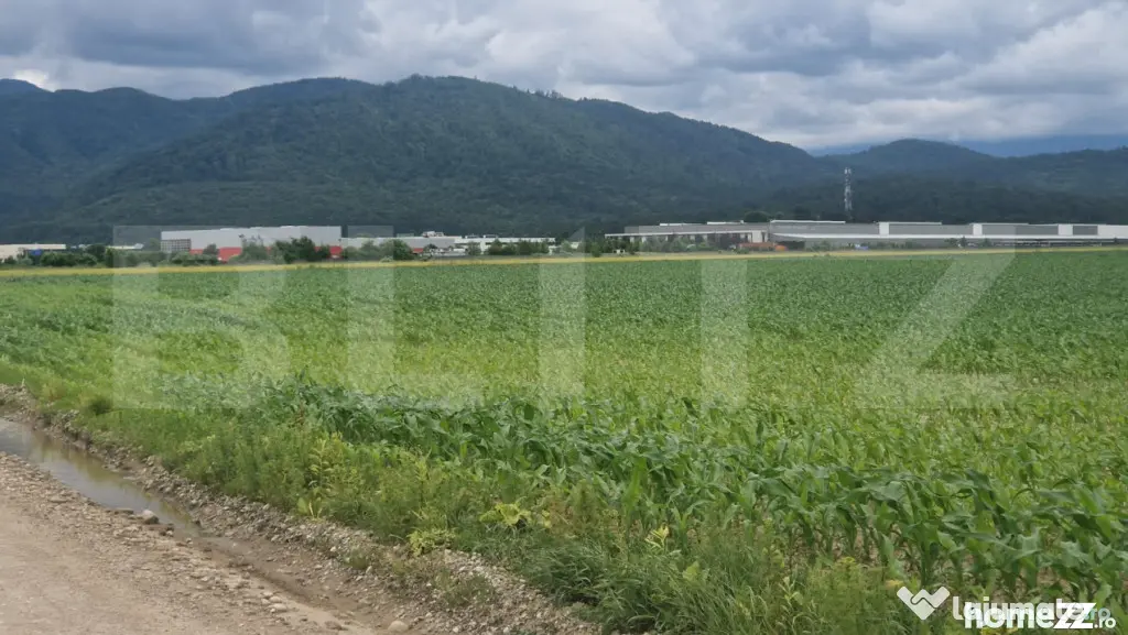Teren extravilan posibilitate de a trece in intravilan zona - Ghimbav (Brasov)