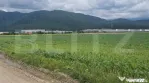 Teren extravilan posibilitate de a trece in intravilan zona