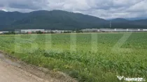 Teren extravilan posibilitate de a trece in intravilan zona