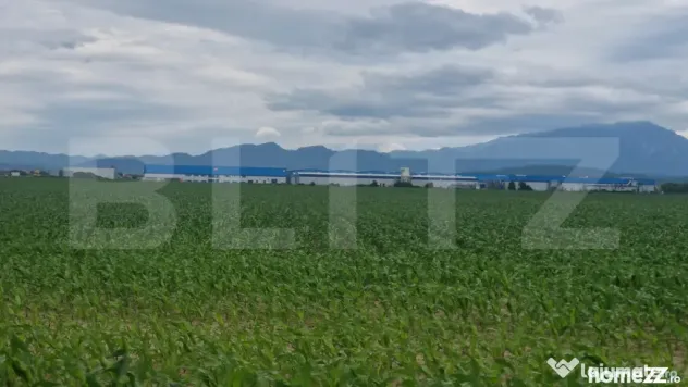 Teren extravilan posibilitate de a trece in intravilan zona - Ghimbav (Brasov)
