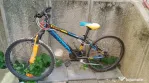 Bicicleta viper