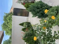 Proprietar casă în Jilava aproape de București 