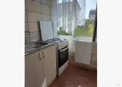Vitan auchan bobocica lacramioarei 
