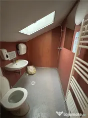 Spatiu comercial tip hala productie sau depozit - Mehala 