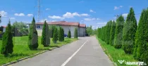 Afacere în Victoria: sală sport cu saună + discotecă, 69
