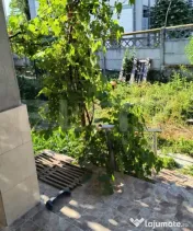 Casa spatioasa de vinzare,situata in centrul municipiului 