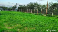 Teren intravilan cu toate utilitatile, gata de construit 