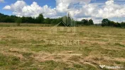 DOUĂ CORPURI DE CASĂ TEREN INTRAVILAN 6997 MP BUGHEA DE... 