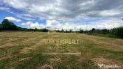 DOUĂ CORPURI DE CASĂ TEREN INTRAVILAN 6997 MP BUGHEA DE... 