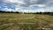 DOUĂ CORPURI DE CASĂ TEREN INTRAVILAN 6997 MP BUGHEA DE... 