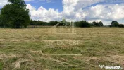 CASĂ CU TEREN INTRAVILAN 6997 MP BUGHEA DE SUS ARGEȘ