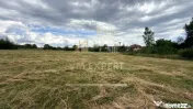 CASĂ CU TEREN INTRAVILAN 6997 MP BUGHEA DE SUS ARGEȘ