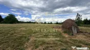 CASĂ CU TEREN INTRAVILAN 6997 MP BUGHEA DE SUS ARGEȘ