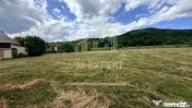 CASĂ CU TEREN INTRAVILAN 6997 MP BUGHEA DE SUS ARGEȘ
