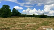 CASĂ CU TEREN INTRAVILAN 6997 MP BUGHEA DE SUS ARGEȘ