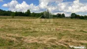 CASĂ CU TEREN INTRAVILAN 6997 MP BUGHEA DE SUS ARGEȘ