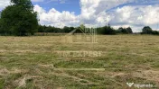 DOUĂ CORPURI DE CASĂ TEREN INTRAVILAN 6997 MP BUGHEA DE... 