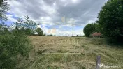 DOUĂ CORPURI DE CASĂ TEREN INTRAVILAN 6997 MP BUGHEA DE... 