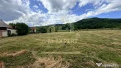 DOUĂ CORPURI DE CASĂ TEREN INTRAVILAN 6997 MP BUGHEA DE... 