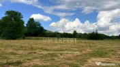 DOUĂ CORPURI DE CASĂ TEREN INTRAVILAN 6997 MP BUGHEA DE... 