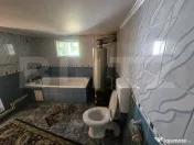 Casă cu gospodărie, livadă și grădină – Costeștii d 