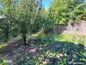 Casă cu gospodărie, livadă și grădină – Costeștii d 