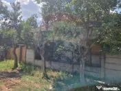 Casă cu gradina mare in Boiu