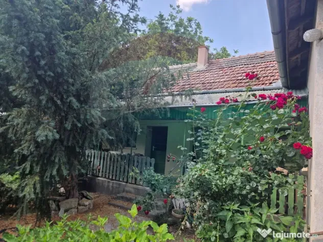 Casă cu gradina mare in Boiu