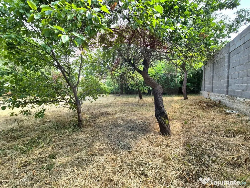 Casă cu teren generos de 1.100 mp, de vânzare în carti...