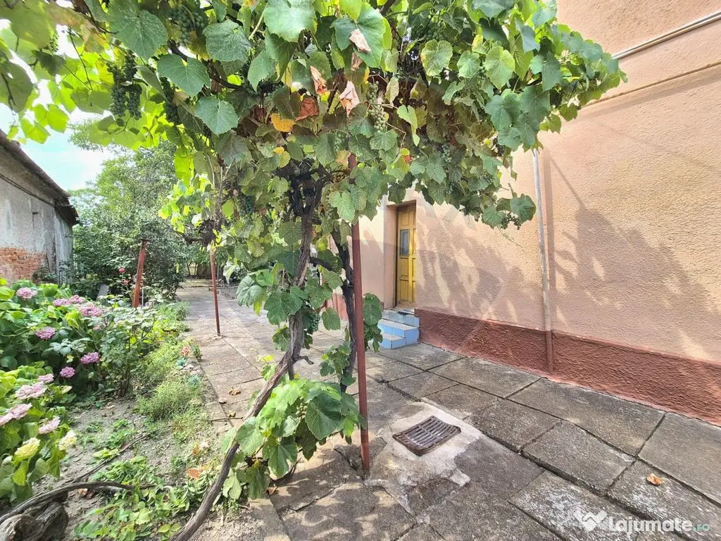 Casă cu teren generos de 1.100 mp, de vânzare în carti...