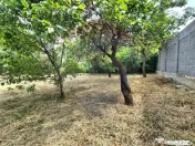 Casă cu teren generos de 1.100 mp, de vânzare în carti... 