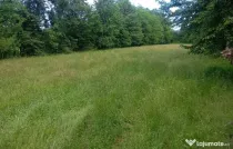 Teren 1773 mp | Prahova | Banesti | Urleta | Campina