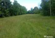 Teren 1773 mp | Prahova | Banesti | Urleta | Campina 