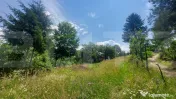 Casa + teren intravilan 4.000 mp I Potential agro-turistic I 