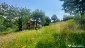 Casa + teren intravilan 4.000 mp I Potential agro-turistic I 