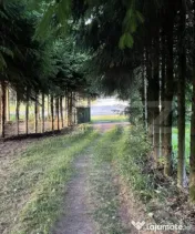 Casă de vânzare, 163 mp, zona Ponorel, comuna Vidra, jude? 