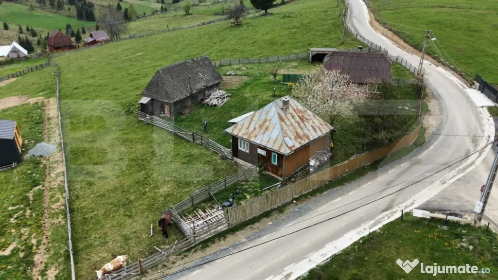 Teren 10.000 mp, cu 2 case, de vacanta, zona Măguri-Răcăt
