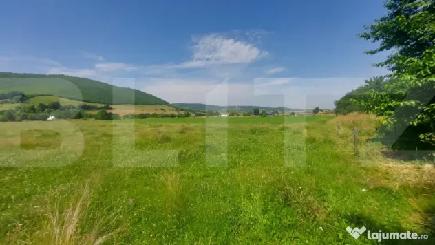 Casa + teren intravil, 3.6 ha I Zagon I Potential turistic s