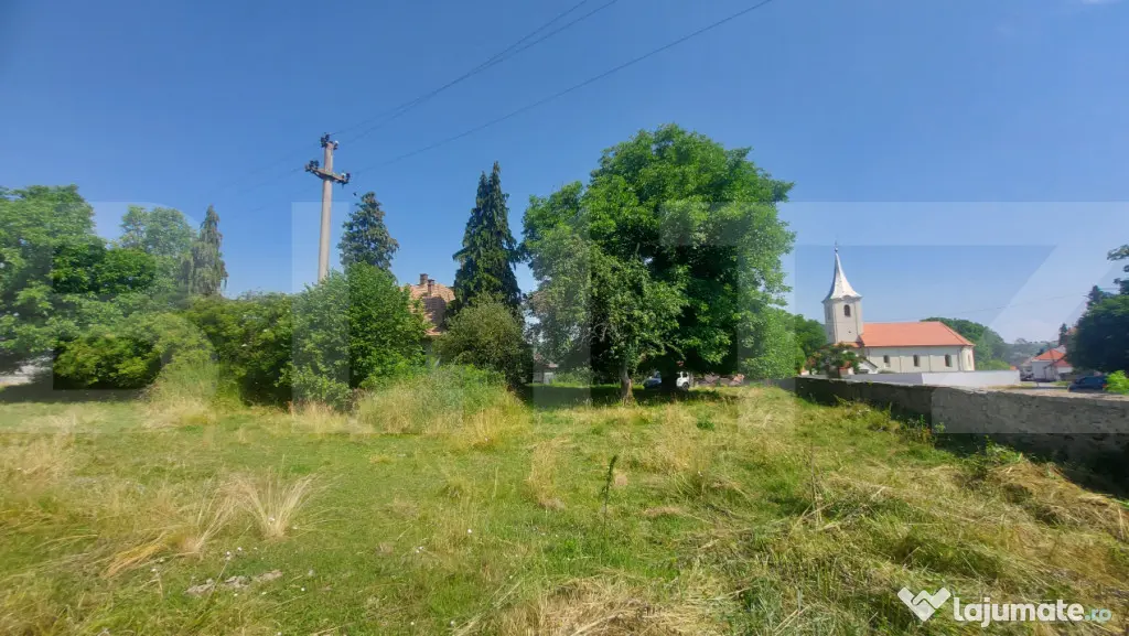 Casa + teren intravil, 3.6 ha I Zagon I Potential turistic s