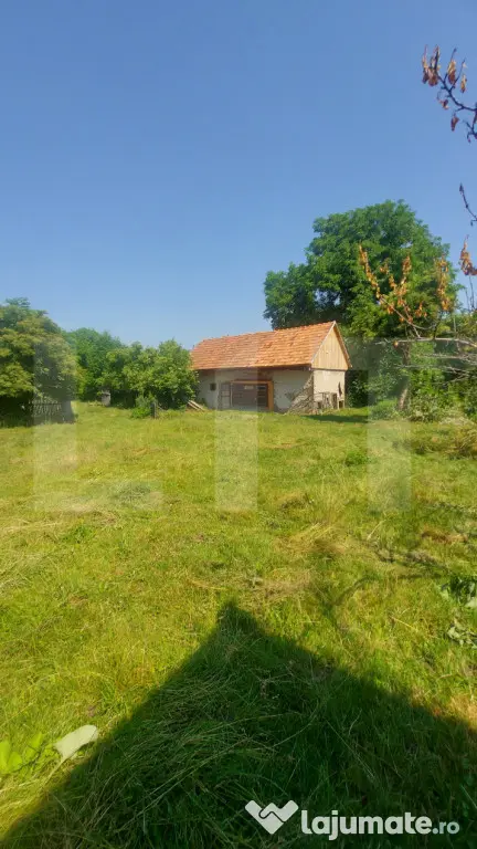 Casa + teren intravil, 3.6 ha I Zagon I Potential turistic s